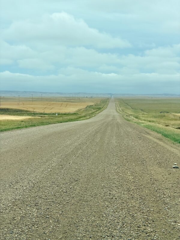 PlanetSKI Heads to Dinosaur Country